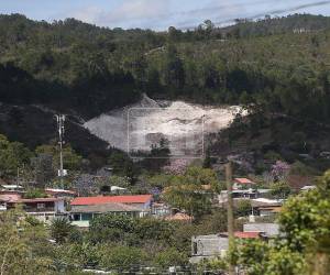 En tan solo 11 años, es decir, de 2013 a 2024, Honduras perdió el 7.3 % de su cobertura forestal, según el informe Estado de País 2026: Cambio climático, bosques y vida en riesgo, elaborado por el Instituto de Justicia y la Asociación para una Sociedad más Justa (ASJ).
