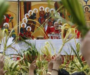 El Cardenal Óscar Andrés Rodríguez pidió a los creyentes católicos levantar los ramos para dejar entrar a Jesús en nuestros corazones. Foto Jonhny Magallanes/EL HERALDO.
