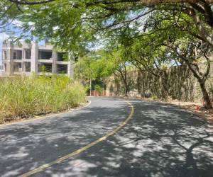 En esta calle de la colonia Rubén Darío, en la capital de Honduras, fue dejado el cadáver de la persona.