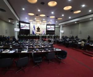 Congreso promueve mesa interinstitucional para frenar invasiones y dar seguridad jurídica a productores.