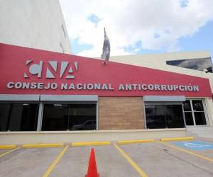 Según el CNA, el caso de Aduanas “plantea interrogantes relevantes sobre la coexistencia entre intereses personales e institucionales”.