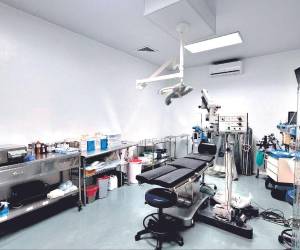 Las patologías oftálmicas que más se atienden son trasplantes de córnea, queratocono, estrabismo y cirugías de retina.