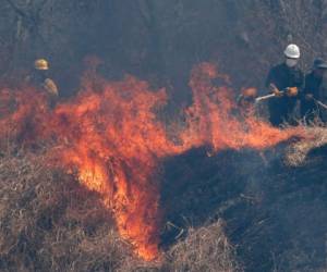 Las autoridades informaron que el joven sufrió fuertes golpes al caer. Foto: AP.