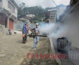 Siguen los trabajos de fumigación en las casas.