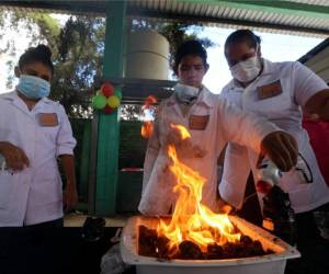 Los alumnos del Instituto Mery Leonard presentaron la deshidratación del azúcar.