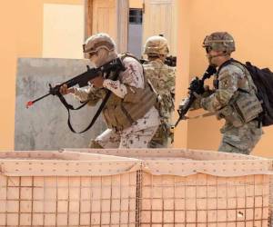 EAU “continúa coordinando y cooperando con el gobierno somalí para investigar este acto terrorista”, agregó el ministerio.