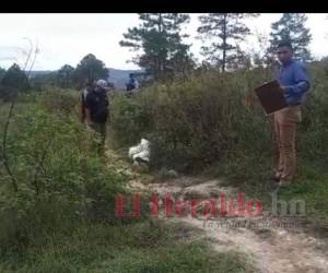 El cadáver estaba en un camino hecho entre la maleza del cerro.