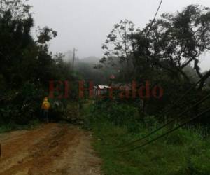 En muchas zonas del país, las lluvias han sido torrenciales, lo que ha provocado que EEH tenga que reconstruir la red para seguir brindando con calidad el servicio.