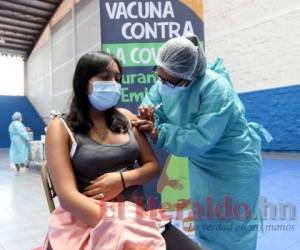 A las embarazadas les están aplicando la vacuna de Pfizer. Foto: Marvin Salgado/El Heraldo