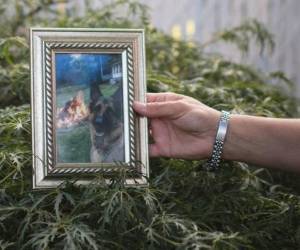 El animal parecía tener la nariz tapada y dificultad para respirar, y su estado continuó deteriorándose con las semanas. Foto: Twitter.