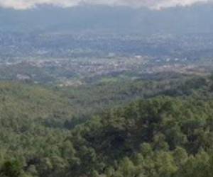La Fuerza Aérea Honduras (FHA) por su lado confirmó que ninguna de sus naves ha sufrido algún percance este día.