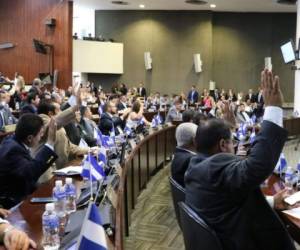 Varios congresistas decidieron no votar por esta iniciativa. Foto Cortesía Congreso