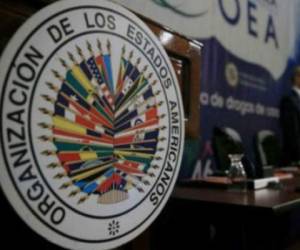 Los expertos de la Organización de los Estados Americanos (OEA) se reunieron con los principales partidos políticos y sociedad civil para desarrollar un informe final.