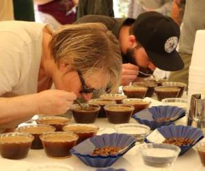 Expertos internacionales llegarán a Honduras para el IV Festival de Café de Santa Bárbara.