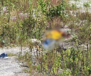 El cuerpo del hombre de unos 30 años de edad, quedó en un solitario sector y presentaba una herida con arma blanca en el cuello