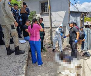 Agentes policiales lograron localizar el cuerpo de la víctima. Se desconocen de momento las razones del violento crimen.