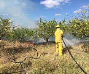 Los incendios en zacateras y los forestales disminuyeron en comparación a los ocurridos en 2017.