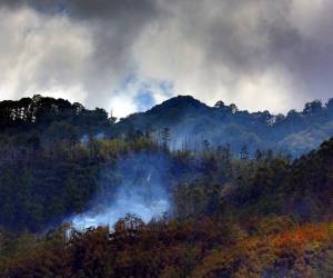 Imagen de archivo tomada por un fotorreportero de EL HERALDO en un incendio en el bosque hondureño.