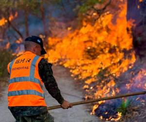 Los incendios forestales se convierten una amenaza para las fuentes de agua y causan severos daños a la flora y fauna. Los alcaldes se unen a la campaña para prevenir y atender los incendios a nivel nacional.