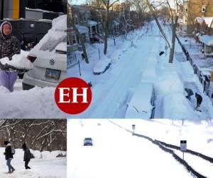 Son 38 las personas que han muerto a causa del frío extremo que azota a Estados Unidos desde el pasado lunes. Foto: AP/AFP