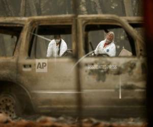Hasta el martes, casi dos semanas después del infierno que arrasó la ciudad de Paradise y zonas próximas, el número de fallecidos confirmados ascendía a 81 personas y la lista de desaparecidos elaborada por la policía tenía alrededor de 700 nombres.