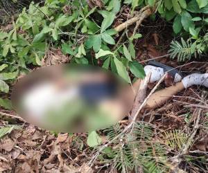 El cuerpo sin vida de Alexander Sierra, de 18 años, fue encontrado en el sector de La Calera, en la aldea Mateo, causando consternación entre familiares y vecinos que lo buscaban desde el día anterior tras reportarse su desaparición. Se trata del tercer jovencito, que laboraba como cobrador de bus, que es hallado muerto en ese sector.