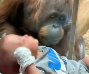 Lo que parecía una visita normal al zoo se convirtió en una dinámica especial entre esta mujer, el mono y el bebé.