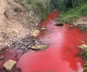El fenómeno estaría relacionado con el lavado de barriles que contenían productos químicos en un carwash de la zona, cuyos residuos habrían sido descargados en el afluente.