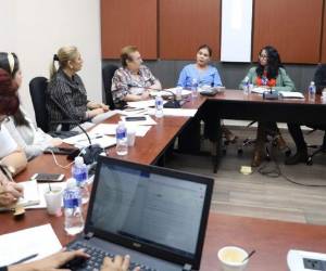 La Comisión de Equidad de Género recibió de los congresistas la seguridad de que se le dará a las mujeres un trato igualitario en los tres niveles electivos.