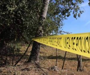 La mayoría de las fosas fueron localizadas en terrenos vallados o fincas abandonadas. Foto ilustrativa.