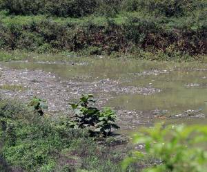 Botellas, bolsas, envases plásticos y otros residuos permanecen acumulados en distintos sectores de la represa Los Laureles, mientras el embalse continúa recuperando su nivel.