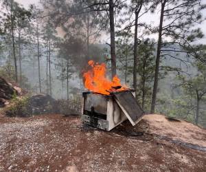 Miembros del Cuerpo de Bomberos de Honduras se encontraron con una macabra escena este martes 12 de mayo, en una zona de la aldea El Cimarrón, en Francisco Morazán: tres cuerpos carbonizados; dos dentro de una freezer (congelador) y uno a aproximadamente 20 metros. ¿Qué mostraba la dantesca escena? A continuación los detalles y las imágenes.