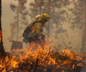 El incendio Oak comenzó en el condado Mariposa, a los pies de la cordillera Sierra Nevada.