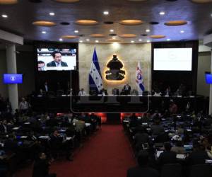 Marlon Ochoa y Mario Morazán, quienes se desempeñaban como consejero del Consejo Nacional Electoral (CNE) y magistrado del Tribunal de Justicia Electoral (TJE), fueron separados de sus cargos junto a los suplentes Lourdes Mejía y Gabriel Gutiérrez.