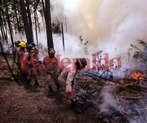El cuerpo de Bomberos realizando trabajo para apagar el voraz incendio que consumió más de 400 hectáreas de bosque. Foto: Estalin Irías/ EL HERALDO