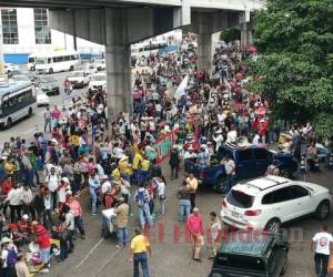 En la capital, los médicos y maestros se encuentran en frente del Seguro Social de La Granja, pero se desconoce a dónde será su destino final. Foto: Marvin Salgado/ EL HERALDO