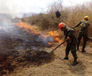 Los elementos de las Fuerzas Armadas cada año se dan a la tarea de sofocar las llamas en zonas boscosas. Foto: Cortesía Fuerzas Armadas.
