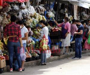 Las exportaciones de bienes hondureños registraron a julio pasado una leve caída de 0.8%, generando $2,613.8 millones en divisas.