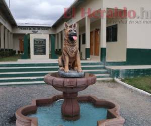 El Batallón Canino (BC) de la Policía Militar nació el 30 de octubre de 2014, como un programa que proveía asistencia canina a otras instituciones policiales. (Fotos: Eduard Rodríguez/ El Heraldo)
