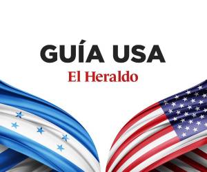 La regla está vigente a partir del pasado 29 de julio.