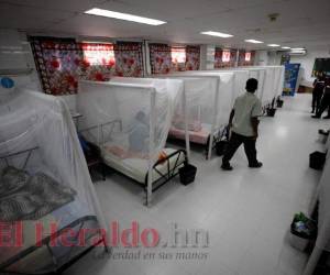 En primer lugar en muertes por dengue grave está Honduras en la región de CA. Foto: Emilio Flores / EL HERALDO.