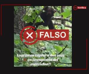 Captura de pantalla a una publicación de TikTok, hecha el 16 de julio de 2026, adaptada a esta cartela.