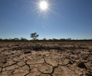 El enfoque 'cristiano' para combatir el calentamiento global genera polémica. Foto AFP