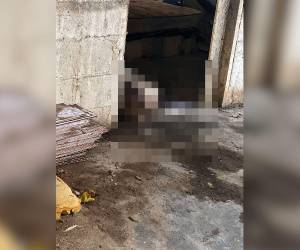 El cuerpo fue localizado frente al Instituto Elena Viuda de Galdámez.