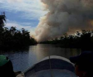El fatal incendio ha acabado con decenas de hectáreas de bosque en Nicaragua. Foto: END