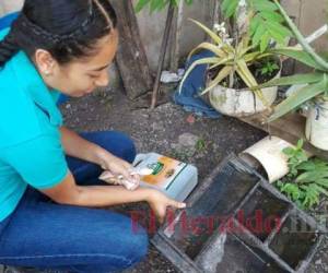 El personal de Salud de Comayagua y Olancho estará iniciando acciones para eliminar criaderos de zancudo y parar el dengue. Foto: El Heraldo