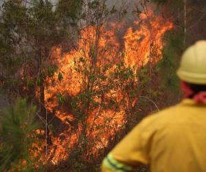 La mano destructora del humano ha causado caos y contaminación tras registrarse una ola de incendios en el país en los primeros meses del año.