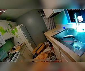 El caso ocurrió en la ciudad de Flint, en el estado de Michigan, luego de que un vecino alertara a la policía para realizar un chequeo de bienestar al sospechar que algo irregular ocurría dentro del inmueble. La llamada terminó destapando una situación de abandono infantil considerada grave por las autoridades.