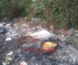 En un solar baldío del hospital incineraron camas y colchones. Foto: EL HERALDO