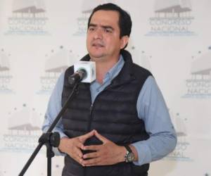 El diputado Mario Pérez preside esta comisión.